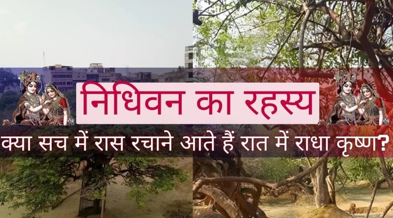 निधिवन का रहस्य, वृंदावन की ऐसी जगह, जहाँ माना जाता है कि श्रीकृष्ण आज भी गोपियों के साथ रासलीला करते हैं। | Nidhivan Ka Rahasya